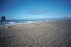 Point Reyes Great Beach south end Image