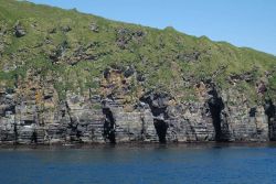 Moss covered volcanic flows Image