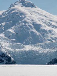 Icy Bay living up to its name Image