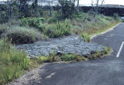 Lava encroaching on a highway. Image