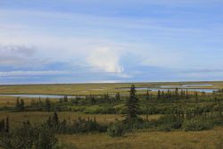 Looking over the Unalakleet River Delta over sparse trees and foliage of the Alaska sub-Arctic. Image