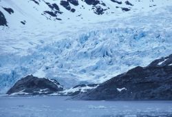 Termination of a glacier in Glacier Bay Image