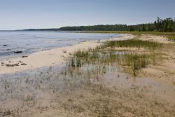 Lake Huron shoreline near Presque Isle. Image