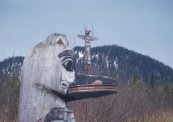 Totem poles at Sitka National Monument Image