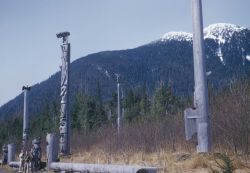 Totem poles at Sitka National Monument Image