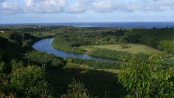 Looking down the Wailua River to the sea Image