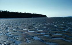 Low tide in Cook Inlet Image