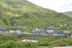 Looking over wildflowers and a small lake to a residential district of Dutch Harbor. Image