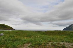 Looking over a field of grass and sea oats to the Bering Sea. Image