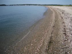 Looking along the arcuate gravel and shell spit at Bluff Point State Park Image