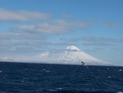 Carlisle Volcano in the Islands of the Four Mountains. Image