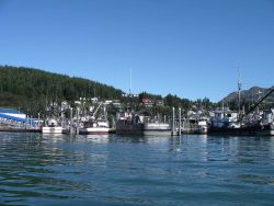 Cordova marina area. Image