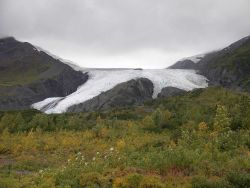 A view of Worthington Glacier. Image