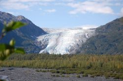 Exit Glacier. Image