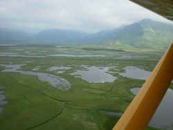 Coastal wetlands between Hallo Glacier and Shelikof Strait. Image