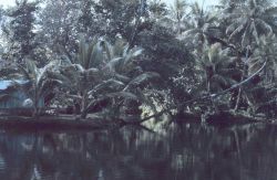 Lagoon scene Image