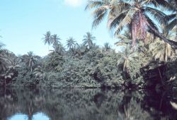 Lagoon scene Image