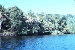 Lagoon scene Image