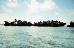 Coral rock islets Image