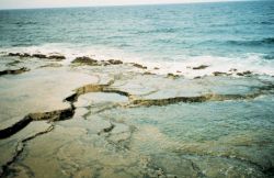 Coral rock terraces on the coast of Guam Image