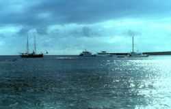 Charter boats anchored offshore. Image