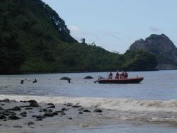 Crew and scientists wading out to the launch for return to the ship at Isla Cocos National Park. Image