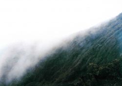 Costa Rican rain forest. Image