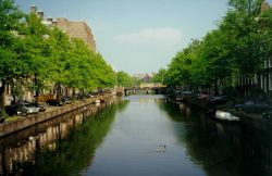 Canals wandering through Amsterdam. Image