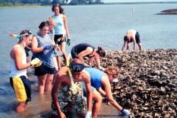 Chesapeake Bay Virginia National Estuarine Research Reserve Image