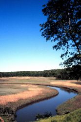 Chesapeake Bay Virginia National Estuarine Research Reserve Image