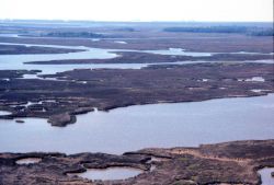 Grand Bay National Estuarine Research Reserve Image