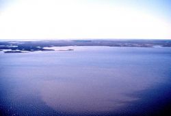 Grand Bay National Estuarine Research Reserve west from Middle Bay Image