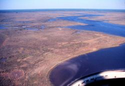 Grand Bay National Estuarine Research Reserve Image