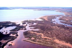 Grand Bay National Estuarine Research Reserve Image