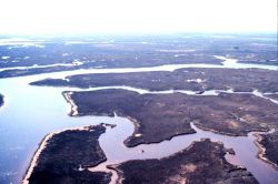 Grand Bay National Estuarine Research Reserve Image