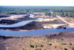 Grand Bay National Estuarine Research Reserve Image