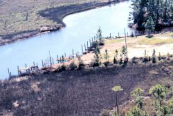 Grand Bay National Estuarine Research Reserve Image