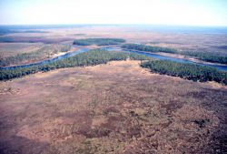 Grand Bay National Estuarine Research Reserve Image