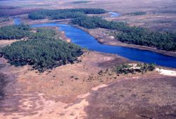 Grand Bay National Estuarine Research Reserve Image