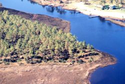 Grand Bay National Estuarine Research Reserve Image