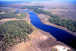 Grand Bay National Estuarine Research Reserve Image