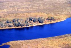 Grand Bay National Estuarine Research Reserve Image
