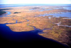 Grand Bay National Estuarine Research Reserve Image