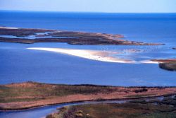 Grand Bay National Estuarine Research Reserve Image