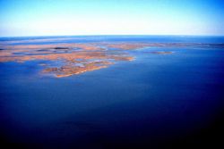 Grand Bay National Estuarine Research Reserve Image