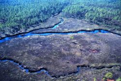 Grand Bay National Estuarine Research Reserve Image