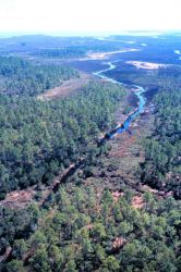 Grand Bay National Estuarine Research Reserve Image
