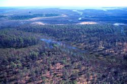 Grand Bay National Estuarine Research Reserve Image