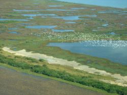 Mission-Aransas National Estuarine Research Reserve. Image