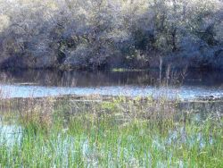 Mission-Aransas National Estuarine Research Reserve. Image